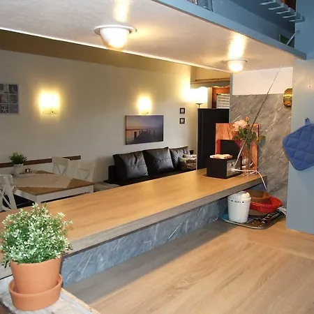 펜션 Ferienhaus Dat Luettje Huus 프리드릭스코오크-슈피츠